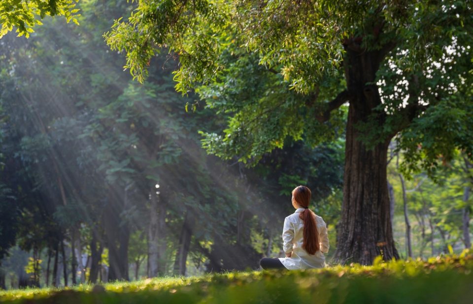 Back,Of,Woman,Relaxingly,Practicing,Meditation,Yoga,In,The,Forest