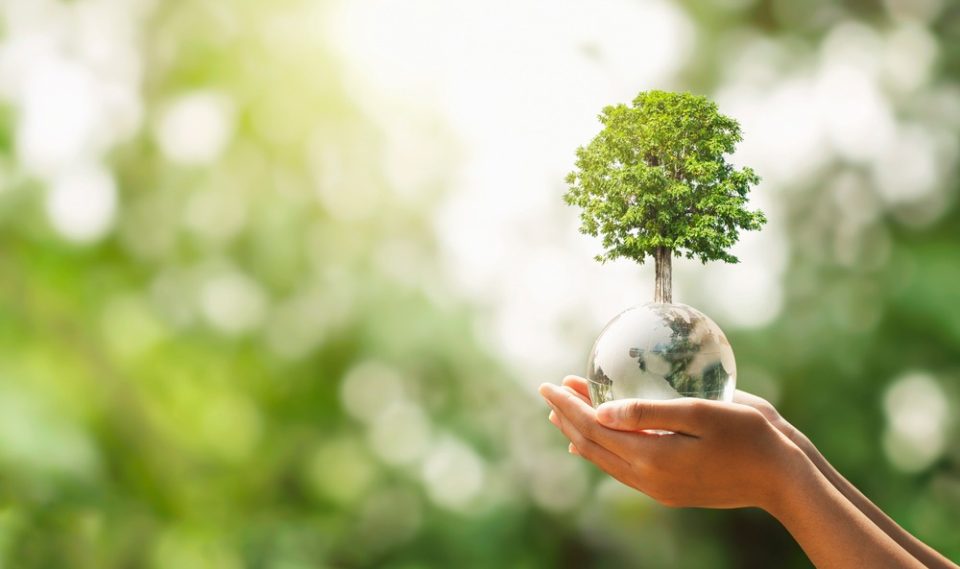 Tree-of-Life