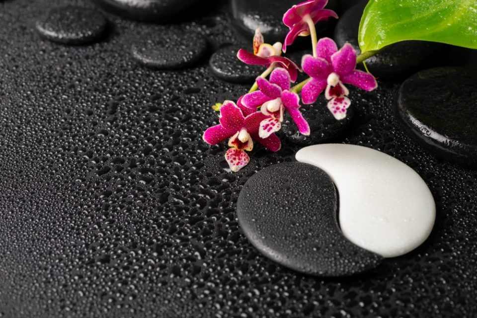 YIN-YANG-1