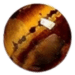 Tigers Eye